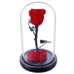 Роза в колбе красная №1